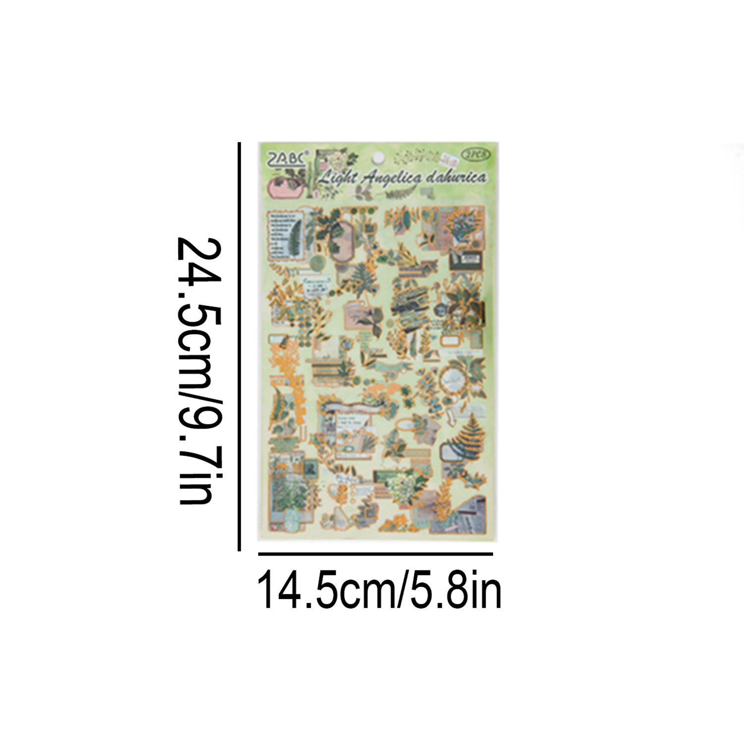 아름다운 식물과 꽃 펫 스티커 2개, 투명 방수 DIY - Stationery 리뷰 및 가격